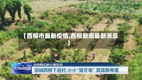 【西柳市最新疫情,西柳新闻最新消息】