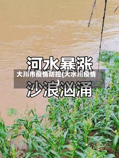 大川市疫情防控(大水川疫情)
