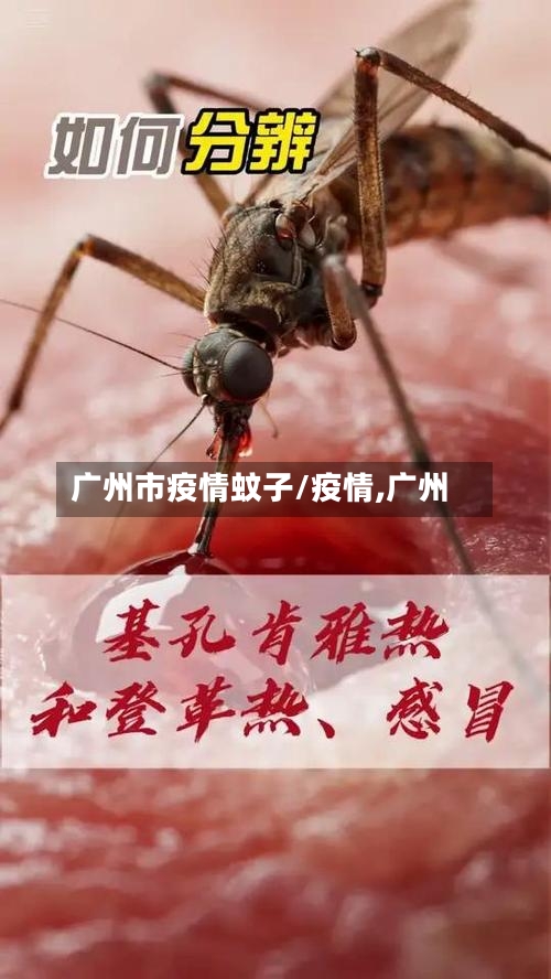 广州市疫情蚊子/疫情,广州-第2张图片