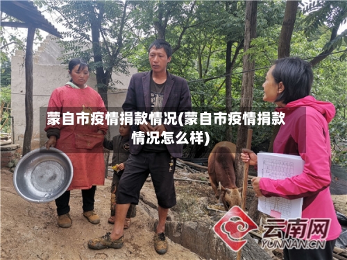 蒙自市疫情捐款情况(蒙自市疫情捐款情况怎么样)