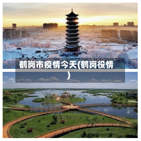 鹤岗市疫情今天(鹤岗役情)