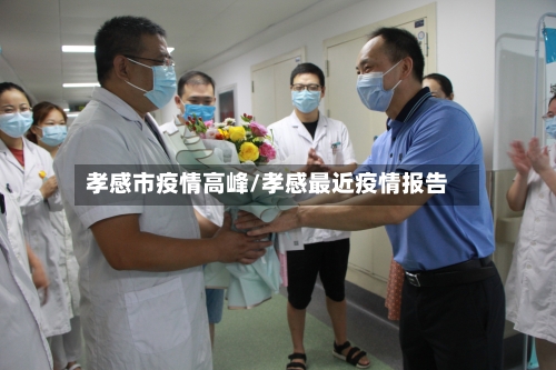 孝感市疫情高峰/孝感最近疫情报告-第3张图片