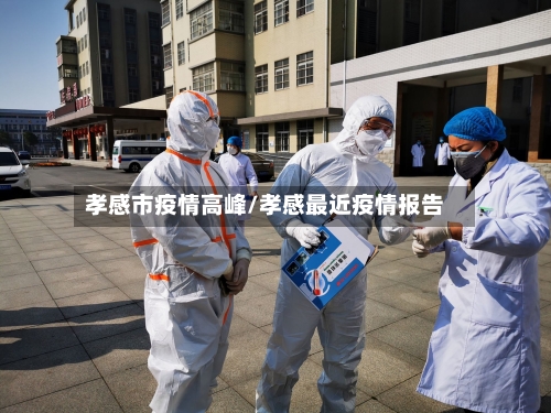 孝感市疫情高峰/孝感最近疫情报告-第2张图片