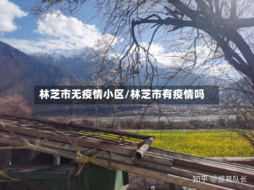 林芝市无疫情小区/林芝市有疫情吗-第3张图片