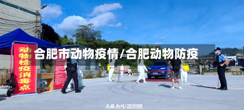 合肥市动物疫情/合肥动物防疫