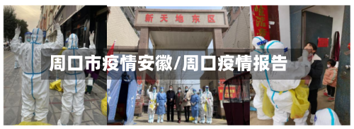 周口市疫情安徽/周口疫情报告-第2张图片