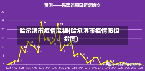 哈尔滨市疫情流程(哈尔滨市疫情防控指南)