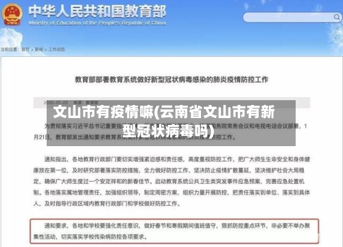 文山市有疫情嘛(云南省文山市有新型冠状病毒吗)