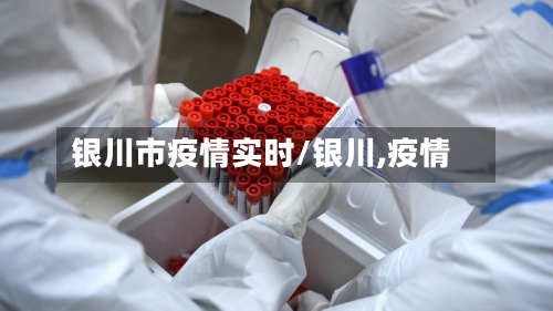 银川市疫情实时/银川,疫情-第2张图片