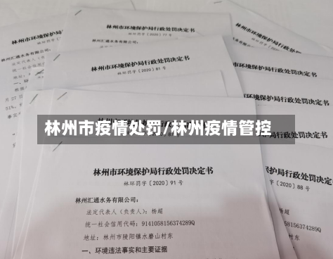 林州市疫情处罚/林州疫情管控