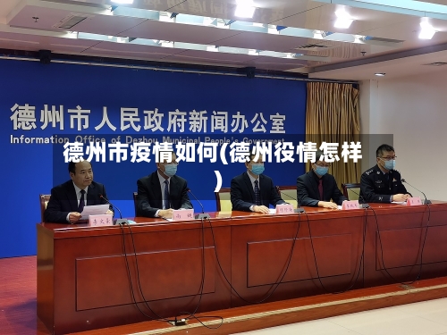 德州市疫情如何(德州役情怎样)