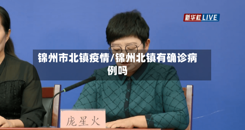 锦州市北镇疫情/锦州北镇有确诊病例吗-第2张图片