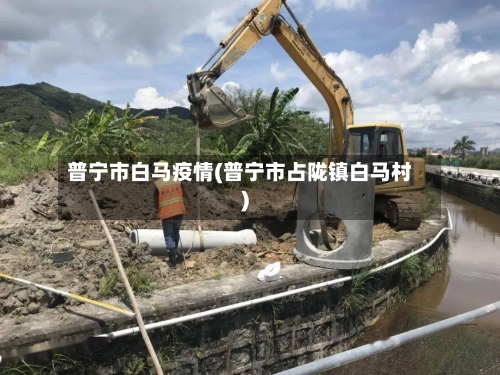 普宁市白马疫情(普宁市占陇镇白马村)