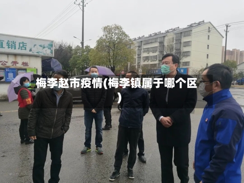 梅李赵市疫情(梅李镇属于哪个区)-第2张图片