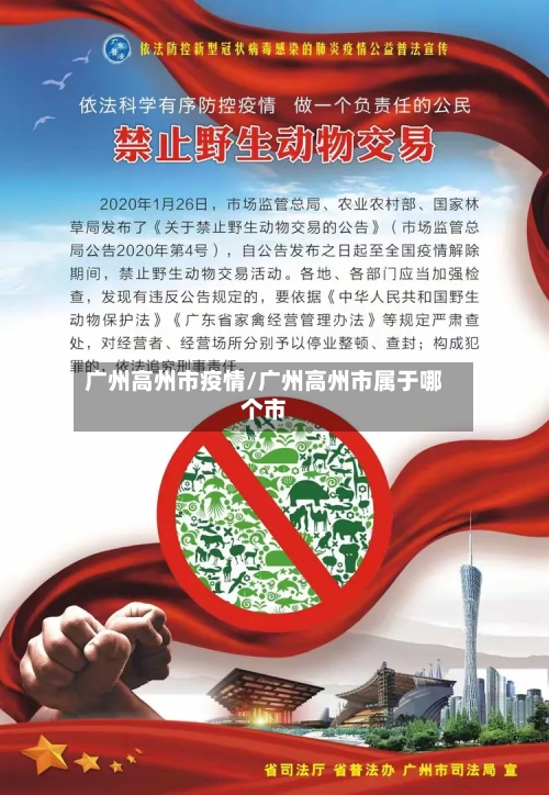 广州高州市疫情/广州高州市属于哪个市