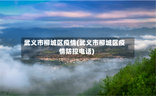 武义市柳城区疫情(武义市柳城区疫情防控电话)