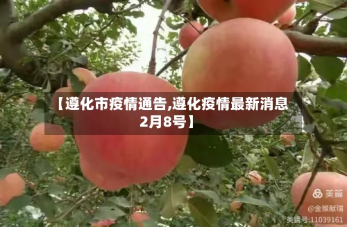 【遵化市疫情通告,遵化疫情最新消息2月8号】