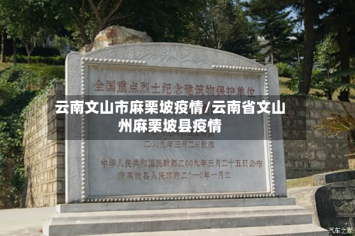 云南文山市麻栗坡疫情/云南省文山州麻栗坡县疫情