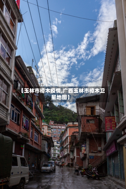 【玉林市樟木疫情,广西玉林市樟木卫星地图】