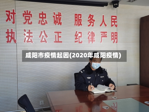 咸阳市疫情起因(2020年咸阳疫情)-第2张图片