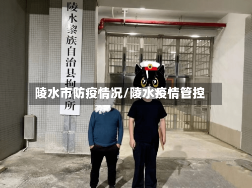 陵水市防疫情况/陵水疫情管控