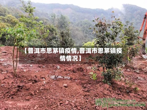 【普洱市思茅镇疫情,普洱市思茅镇疫情情况】
