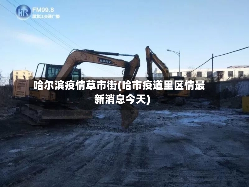 哈尔滨疫情草市街(哈市疫道里区情最新消息今天)