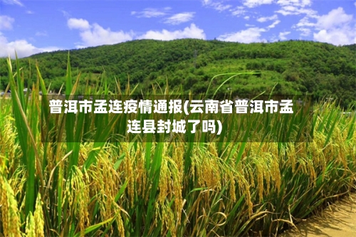 普洱市孟连疫情通报(云南省普洱市孟连县封城了吗)-第2张图片