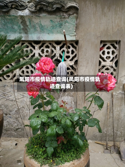 凤阳市疫情轨迹查询(凤阳市疫情轨迹查询表)