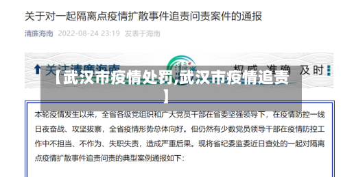 【武汉市疫情处罚,武汉市疫情追责】