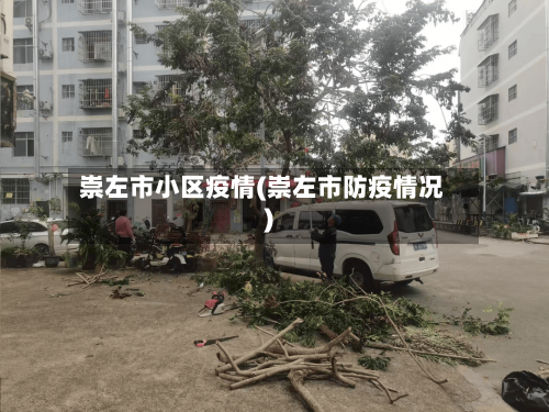 崇左市小区疫情(崇左市防疫情况)