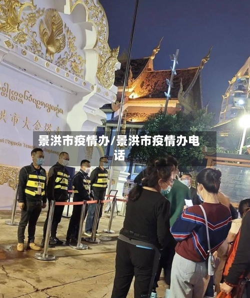 景洪市疫情办/景洪市疫情办电话-第2张图片