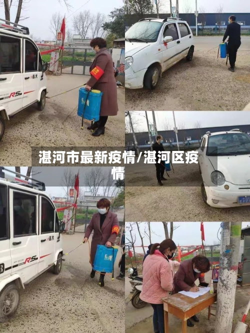 湛河市最新疫情/湛河区疫情