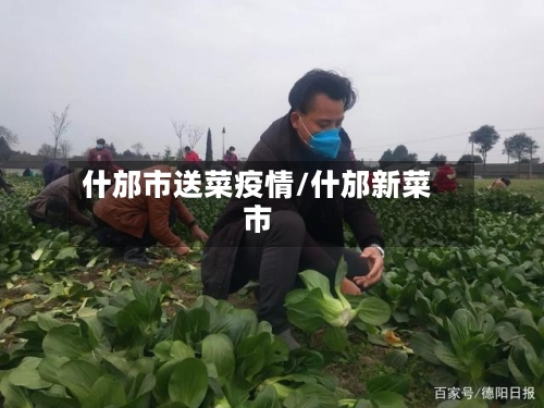 什邡市送菜疫情/什邡新菜市