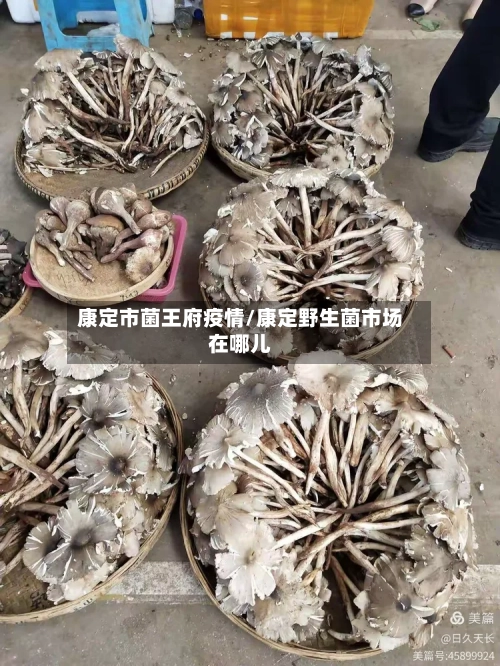 康定市菌王府疫情/康定野生菌市场在哪儿-第2张图片