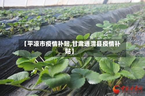 【平凉市疫情补贴,甘肃通渭县疫情补贴】