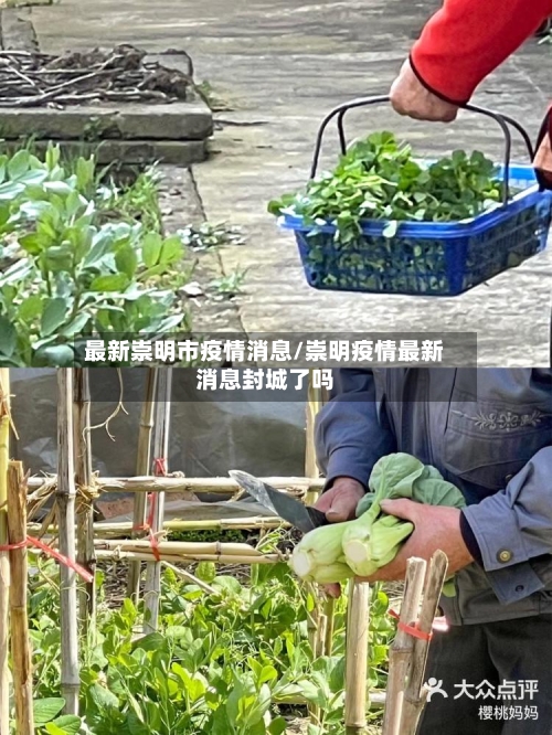 最新崇明市疫情消息/崇明疫情最新消息封城了吗