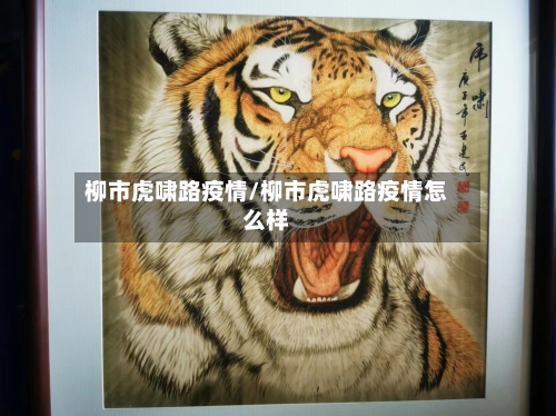 柳市虎啸路疫情/柳市虎啸路疫情怎么样