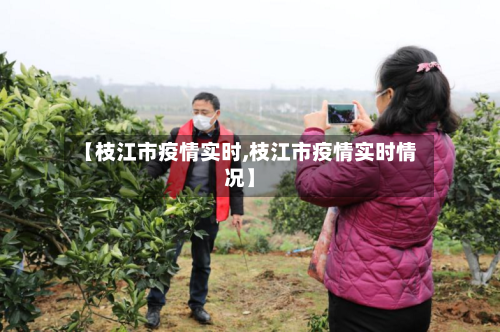 【枝江市疫情实时,枝江市疫情实时情况】