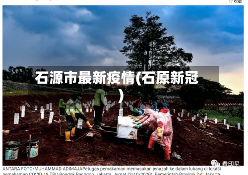 石源市最新疫情(石原新冠)-第2张图片