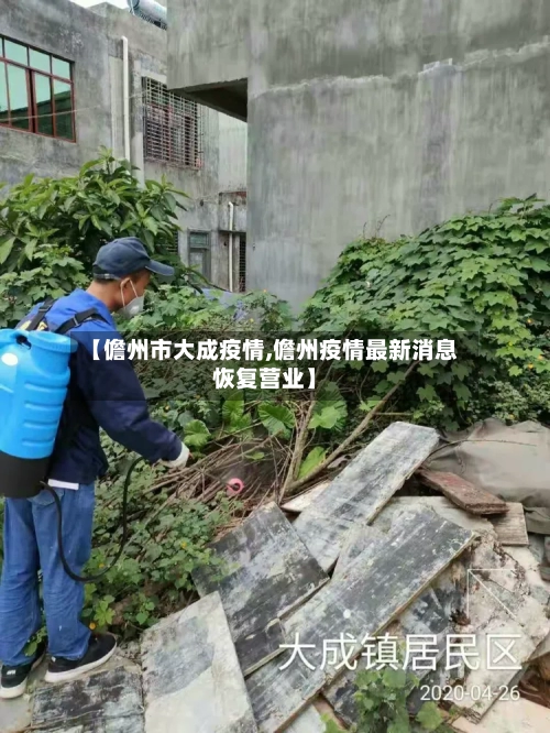 【儋州市大成疫情,儋州疫情最新消息恢复营业】-第2张图片