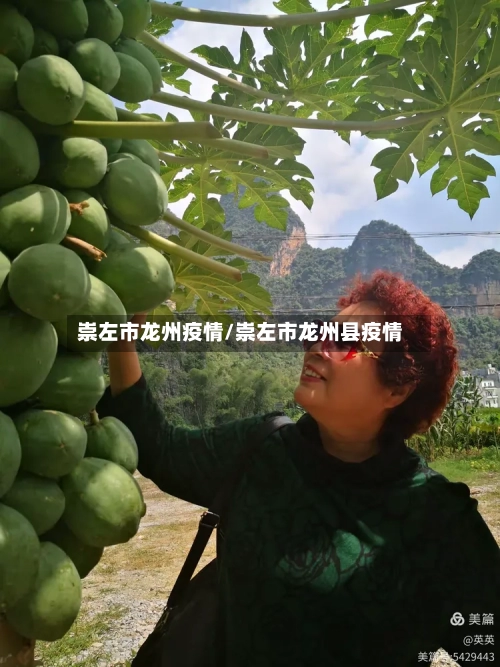 崇左市龙州疫情/崇左市龙州县疫情