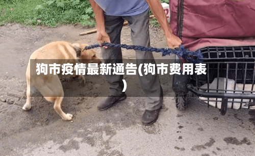 狗市疫情最新通告(狗市费用表)-第2张图片