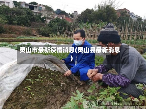 灵山市最新疫情消息(灵山县最新消息)
