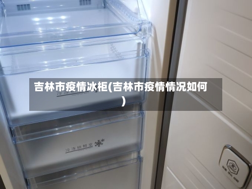 吉林市疫情冰柜(吉林市疫情情况如何)-第2张图片