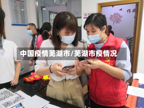 中国疫情芜湖市/芜湖市疫情况