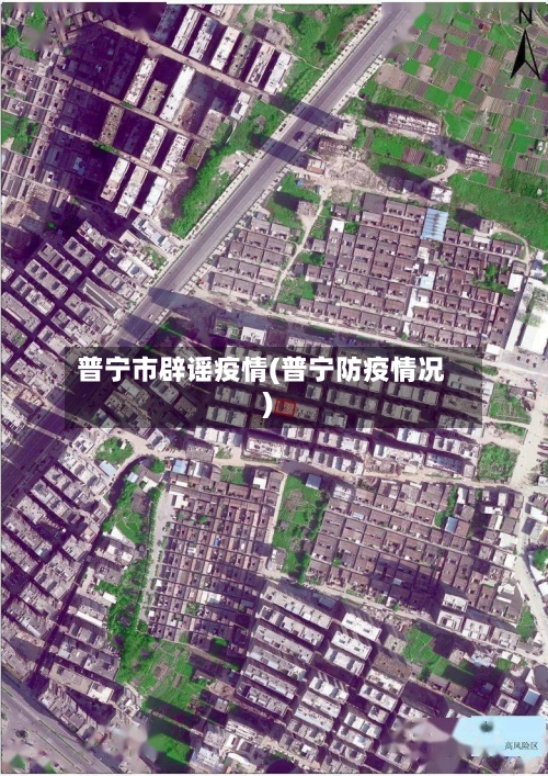 普宁市辟谣疫情(普宁防疫情况)