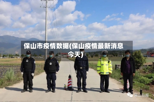 保山市疫情数据(保山疫情最新消息今天)-第2张图片