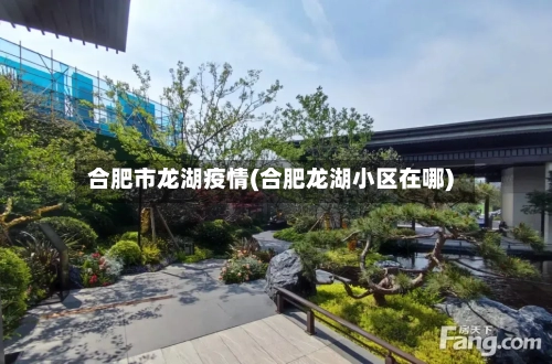 合肥市龙湖疫情(合肥龙湖小区在哪)