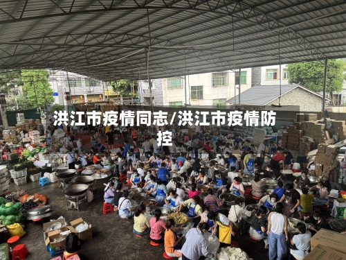 洪江市疫情同志/洪江市疫情防控